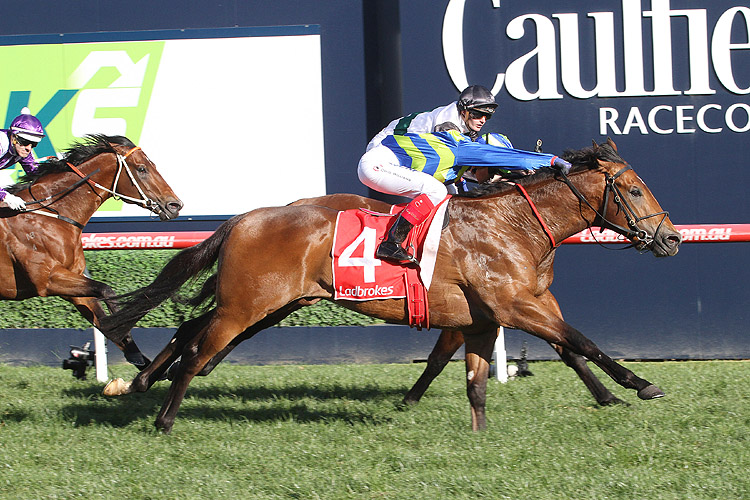 Jukebox winning the Ks Environmental Vain Stakes Jukebox winning the Ks Environmental Vain Stakes