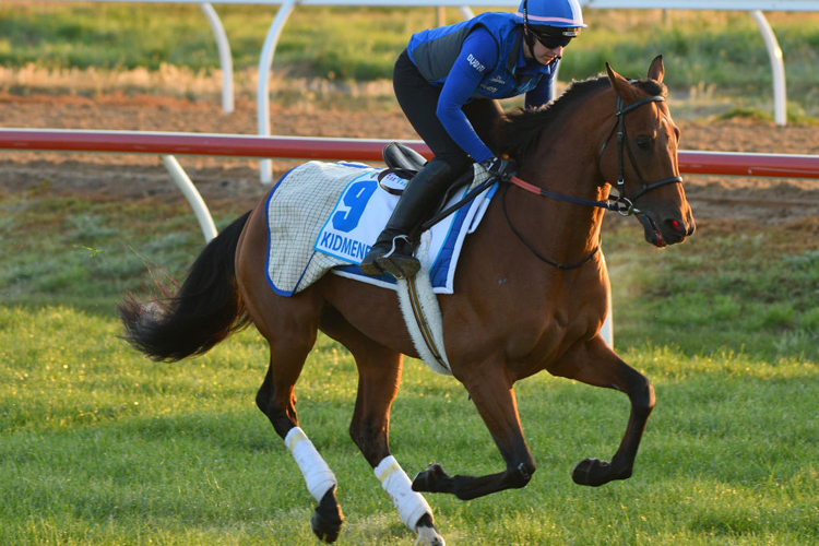 KIDMENEVER during a trackwork session at Werribee / Photo by Vince Caligiuri/Getty Images KIDMENEVER during a trackwork session at Werribee /