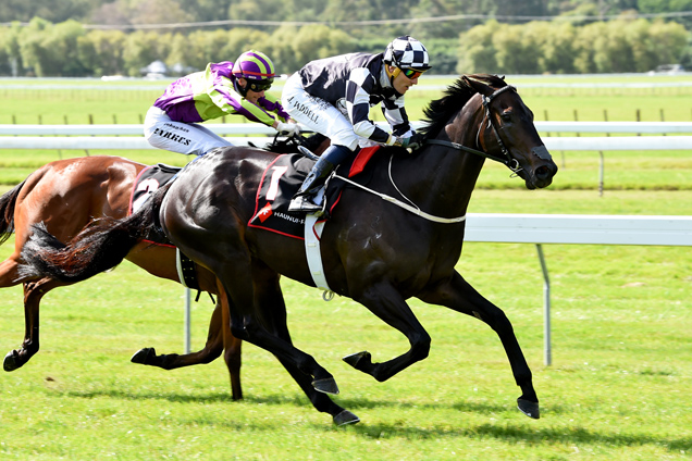 Kawi winning the Haunui Farm Classic