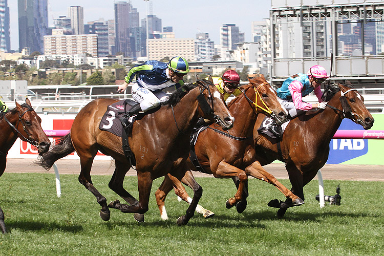 Keen Array winning the Gilgai Stakes Keen Array winning the Gilgai Stakes