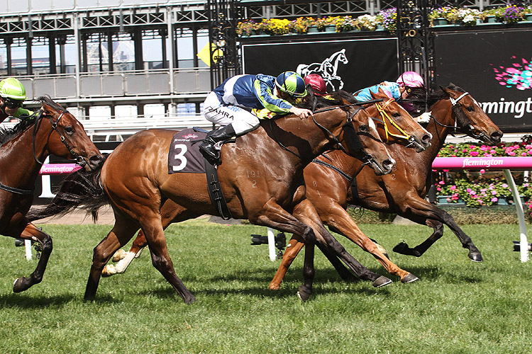 Keen Array winning the Gilgai Stakes