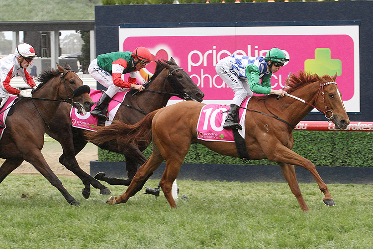 Kiwia winning the Coongy Cup