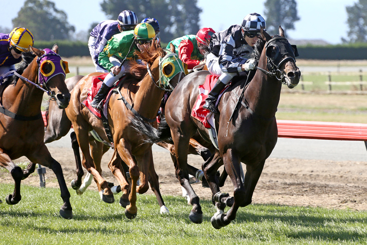 Kolonel Kev winning the The Craigmore Timaru Cup