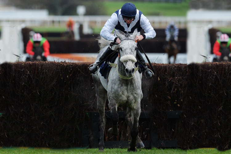 LAKE VIEW LAD winning the Weatherbys General Stud Book Online Steeple Chase at Newcastle