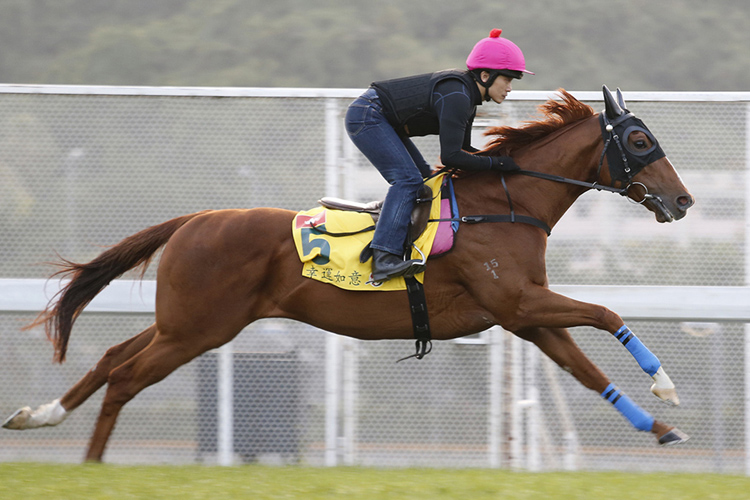 LUCKY BUBBLES-HKG Sprint LUCKY BUBBLES-HKG Sprint