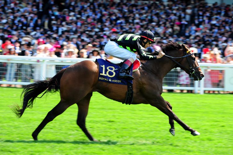 Lady Aurelia winning the King's Stand Stakes (Group 1) (British Champions Series)