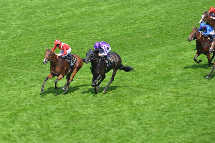 Le Brivido winning the Jersey Stakes (Group 3)