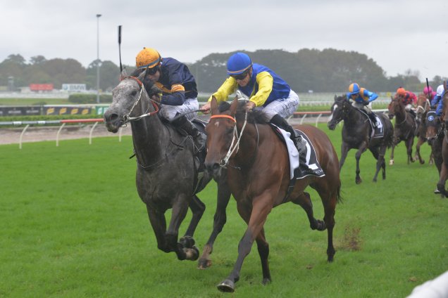 Le Romain and Chautauqua Le Romain and Chautauqua