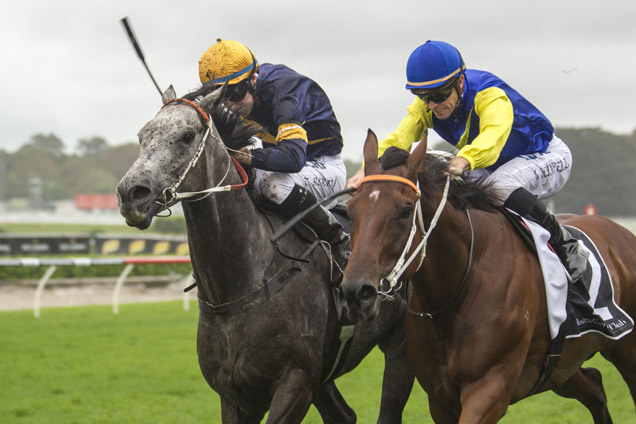Le Romain and Chautauqua fight out the Canterbury Stakes
