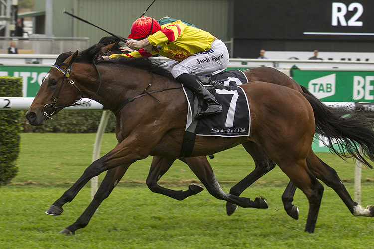 Legend Of Condor winning the Nielsen Sports Victory Vein Legend Of Condor winning the Nielsen Sports Victory Vein