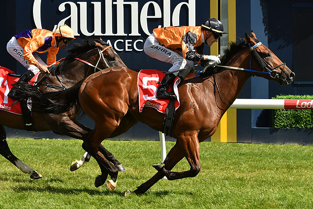 Legless Veuve winning the Manfred Stakes Legless Veuve winning the Manfred Stakes