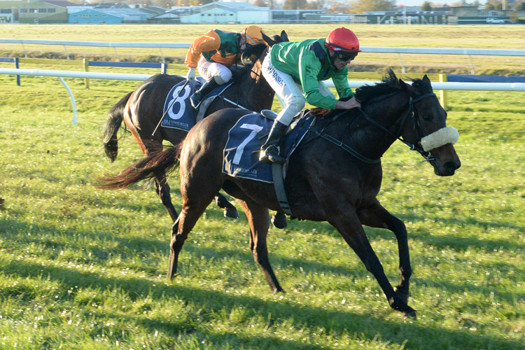 Let Her Rip winning the Rotorua Stakes