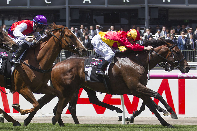 Levendi winning the The Carbine Club Stakes