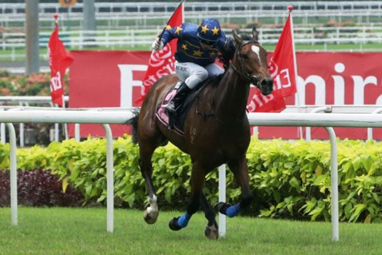 Lim's Casino winning the HELLO MOSCOW STAKES CLASS 4