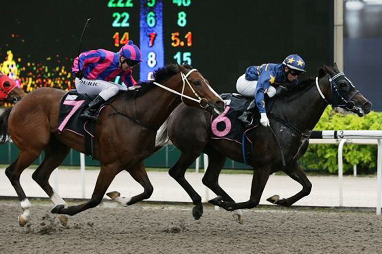 Lim's Shot winning the KRANJI STAKES C