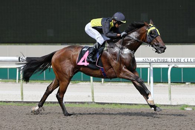 Lincoln Road winning the KRANJI STAKES A