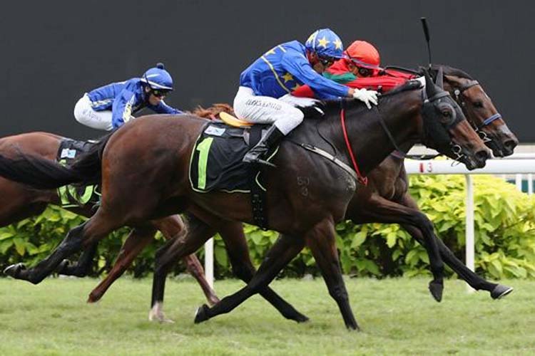 Little Master (red cap) rushes home late to share the spoils with Lim's Pershing (No 1) on the line.