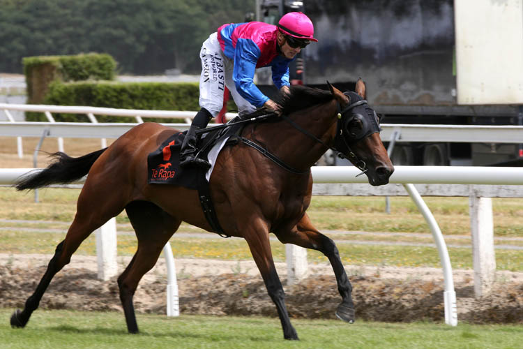 Lizzie L'amour winning the Cal Isuzu Stakes