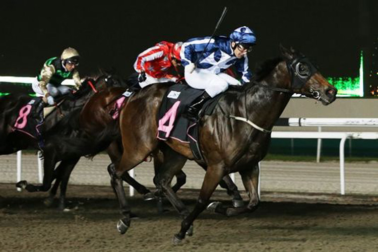 Macarthur winning the PITSTOP 2012 STAKES CLASS 4