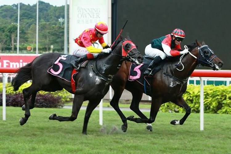 Magic City winning the NOVICE Magic City winning the NOVICE