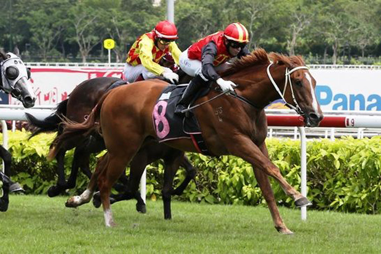 Magic Wand winning the VICTORIA PEAK STAKES RESTRICTED MAIDEN