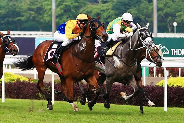 Magstock winning the KRANJI STAKES C