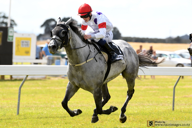 Maid Of Steel winning the Coastwood Homes Thames Cup