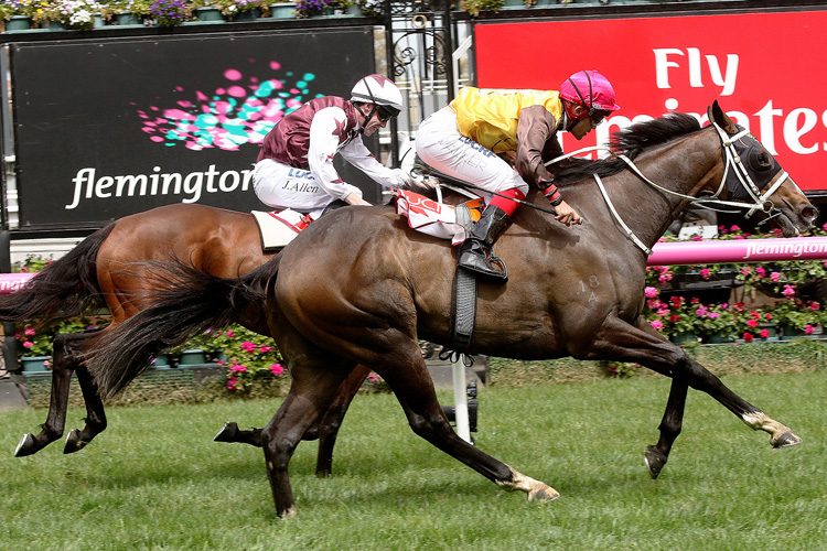 Main Stage winning the Uci Stakes