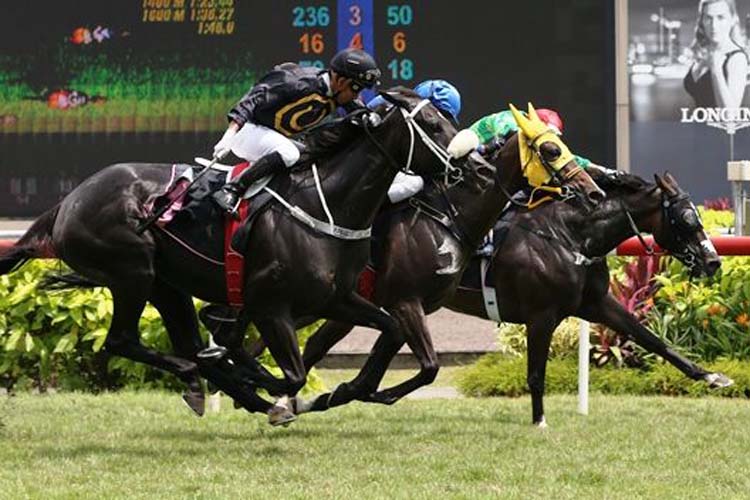 Mighty Kenny (black cap) and Makanani (yellow blinkers) wear down Show Far Show Good (on the rails) to dead-heat for first in Race 3.