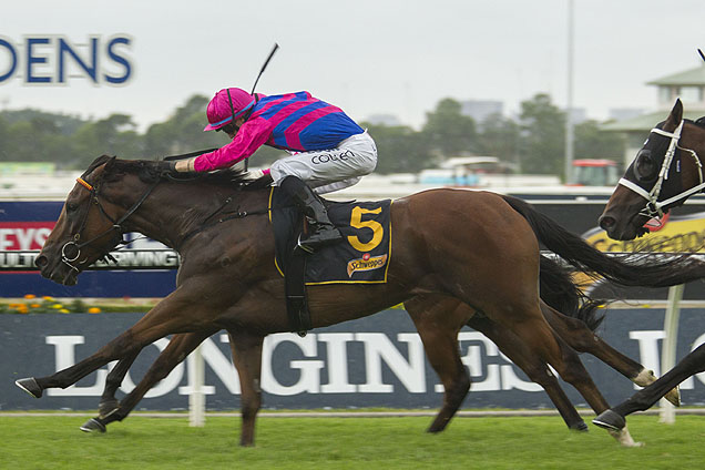 Man From Uncle winning the Hobartville Stakes