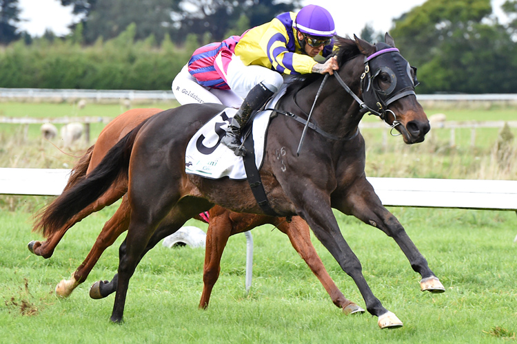 Manhattan Flame winning the Placemakers Mdn Manhattan Flame winning the Placemakers Mdn