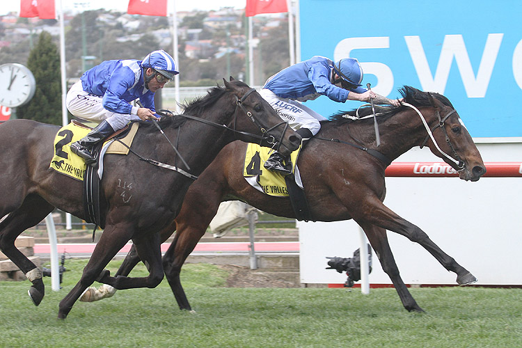 Eshtiraak can go one better at Caulfield