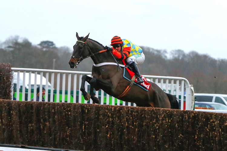 Might Bite winning the 32Red King George VI Chase (Grade 1)