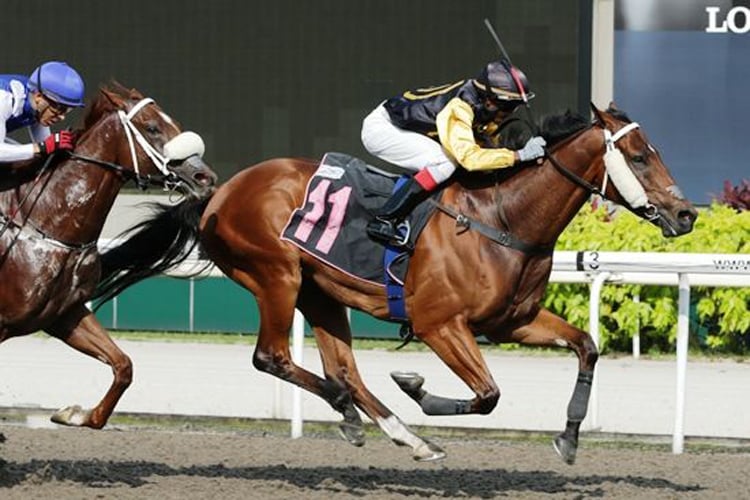 Mighty Emperor the main danger to Target in the Kranji Stakes C