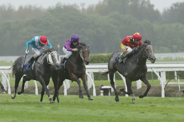 Mime winning the Travis Stakes