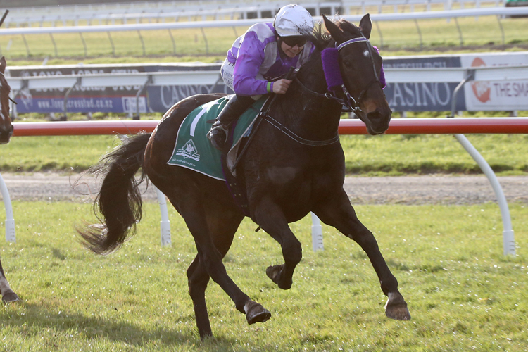 Miss Three Stars winning the Greenwood Amberley Cup