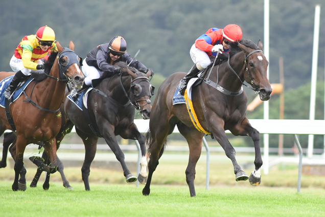 Miss Wilson winning the Wentwood Grange Cuddle Stakes Miss Wilson winning the Wentwood Grange Cuddle Stakes