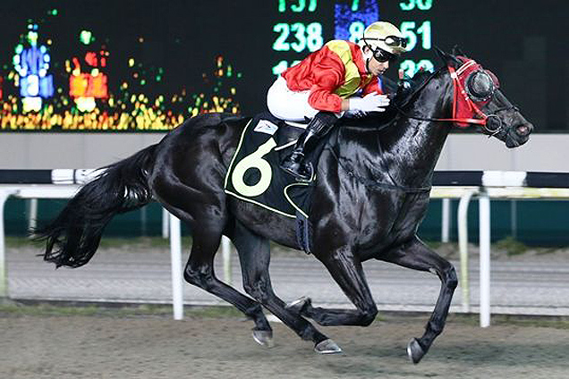 Mongolian Chief winning the CLASS 4