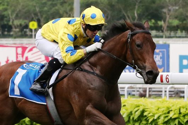 Mr Hanks winning the INGLIS READY2RACE STAKES OPEN 2YO