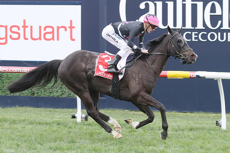 Mr Sneaky was far from surreptitious first up at Caulfield