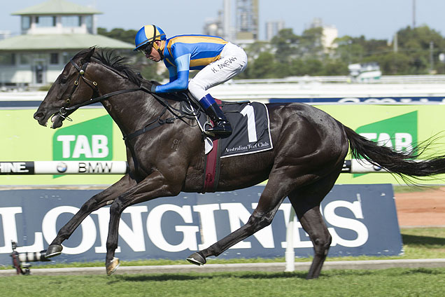 Music Magnate back in fine form in the Expressway Stakes