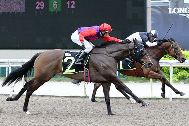 My Lucky Strike winning the ALWIN TAN HAI WANG STAKES KRANJI STAKES A