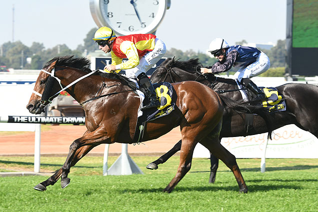 New Universe winning the Freshmark (Bm76) New Universe winning the Freshmark (Bm76)
