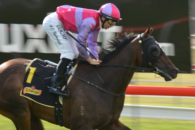 Northwest Passage winning the Schweppes Tasmanian Derby Northwest Passage winning the Schweppes Tasmanian Derby