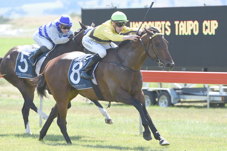 Nothing Trivial winning the Harcourts Taupo Cup