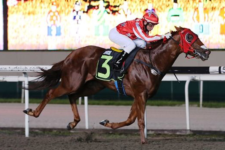 Nova Swiss winning the KRANJI STAKES A