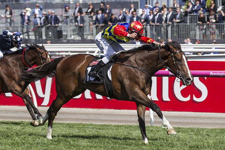Odeon winning the James Boag's Premium Stakes Odeon winning the James Boag's Premium Stakes