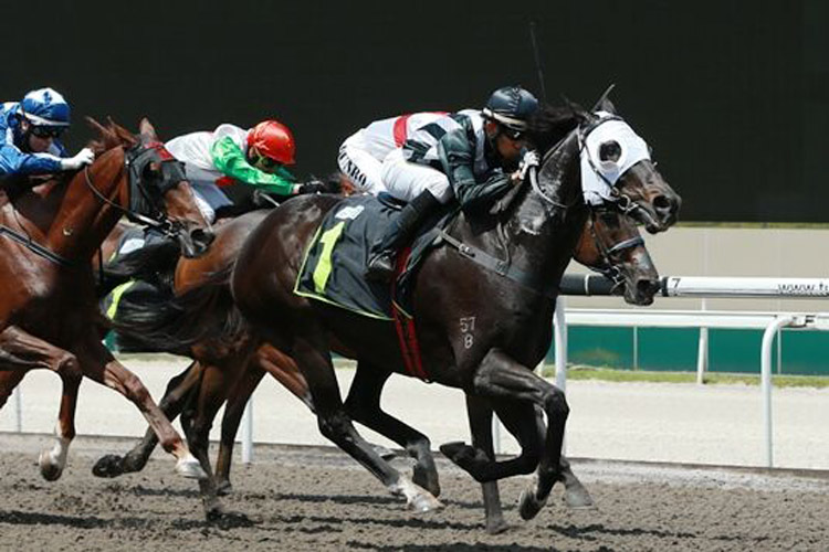 One Rar winning the OPEN BENCHMARK 67 One Rar winning the OPEN BENCHMARK 67
