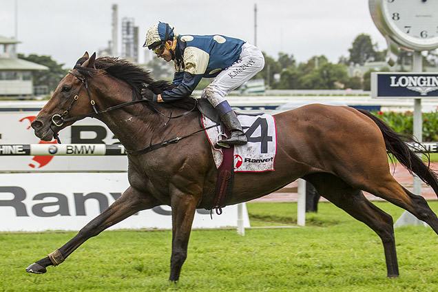 Our Ivanhowe winning the Ranvet Stakes Our Ivanhowe winning the Ranvet Stakes