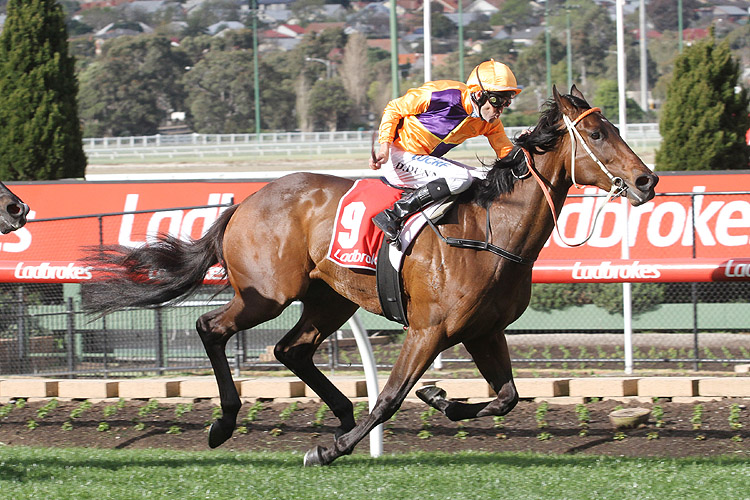 Overshare winning the McKenzie Stakes